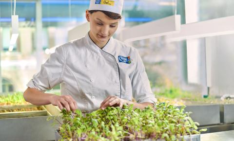 Culinary student tending to a tray of freshly sprouted vegetables and herbs.