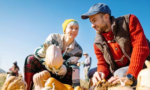 People going squash and pumkin picking in crisp fall weather over the Canadian Thanksgiving weekend.