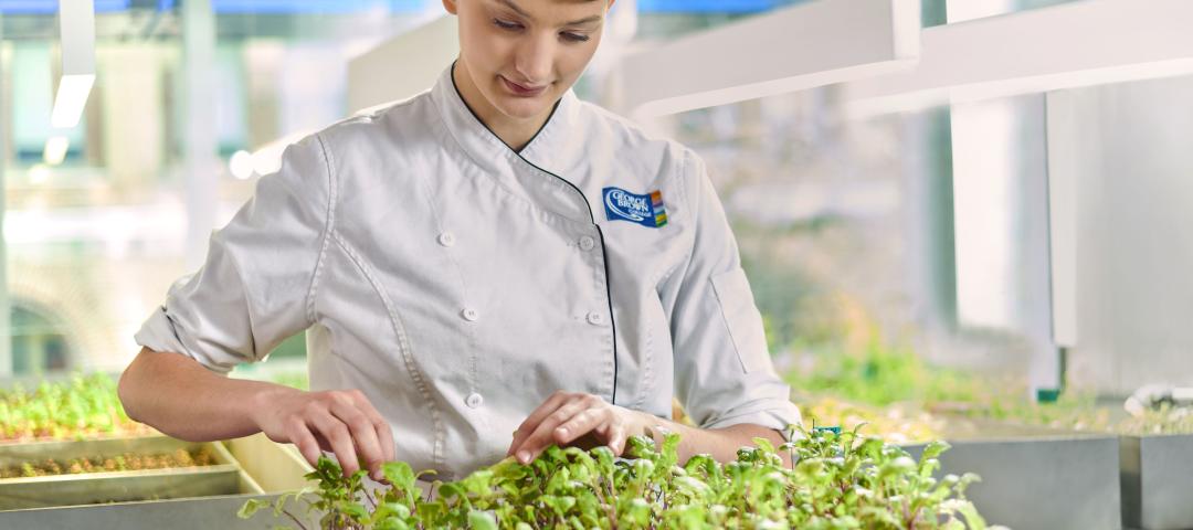 Culinary student tending to a tray of freshly sprouted vegetables and herbs.