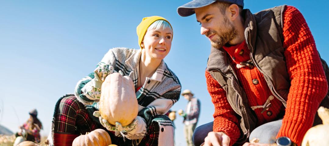People going squash and pumkin picking in crisp fall weather over the Canadian Thanksgiving weekend.